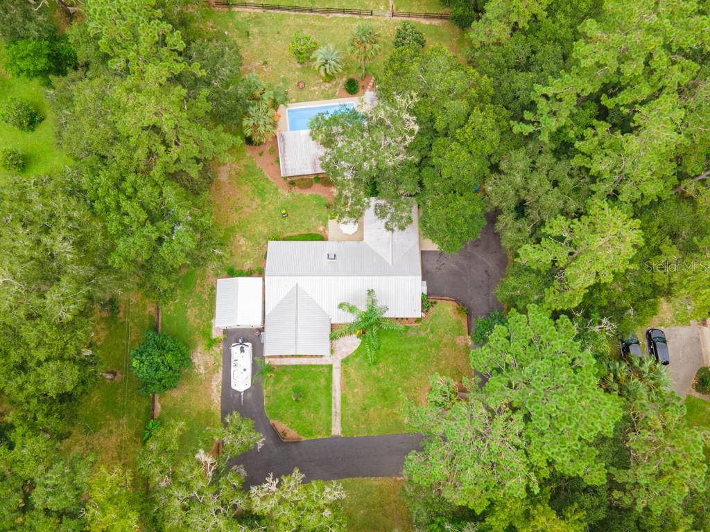 FLORIDA ORANGE GROVE - Residential