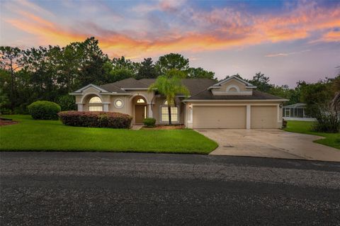 3 OXHORN COURT E HOMOSASSA FL 34446