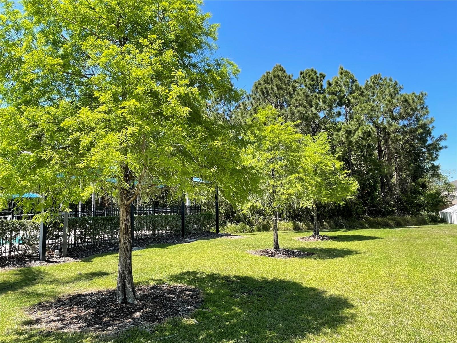 TIVOLI WOODS VILLAGE C 51 84 - Residential Lease