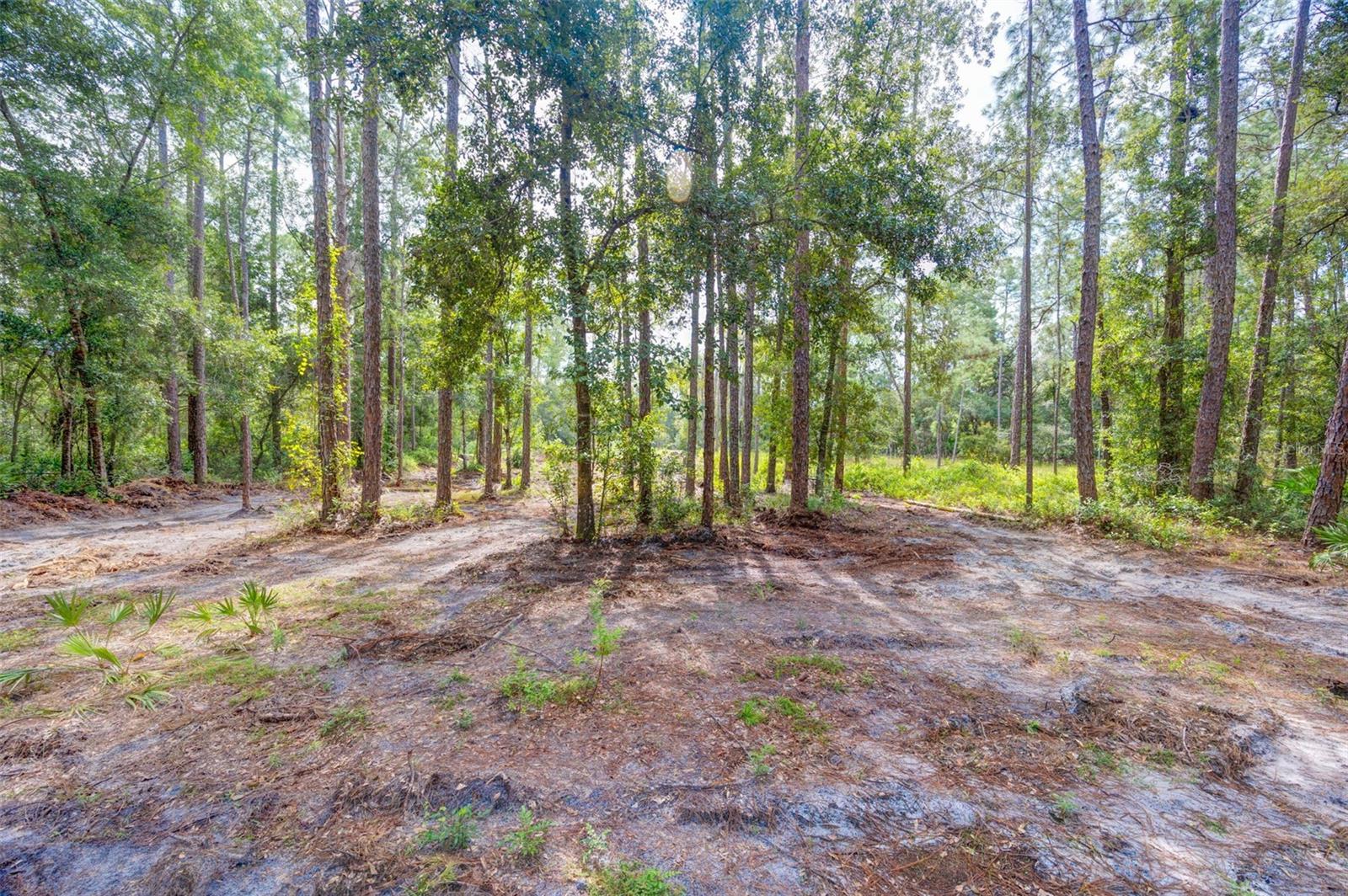 RIDGE MANOR ESTATE - Land