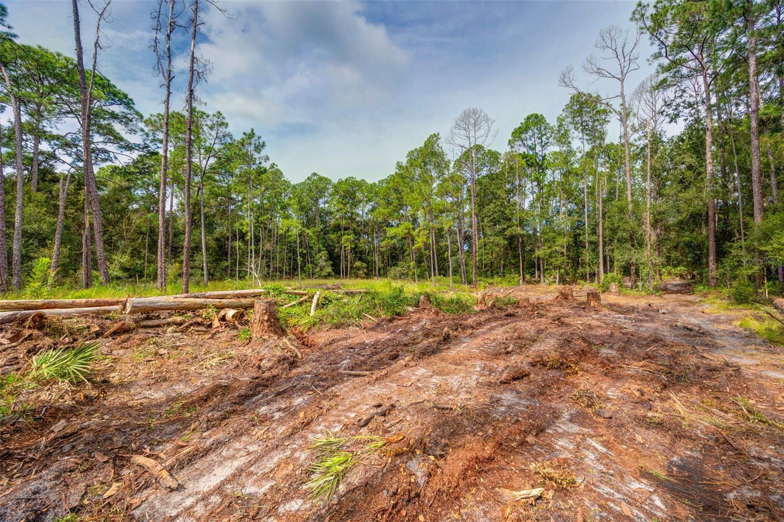 RIDGE MANOR ESTATE - Land