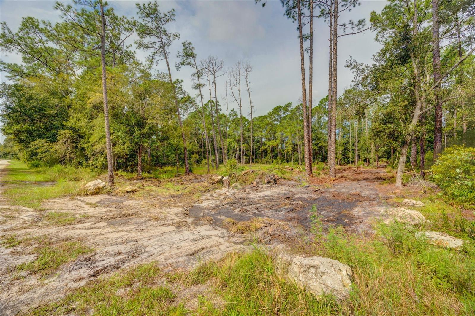 RIDGE MANOR ESTATE - Land