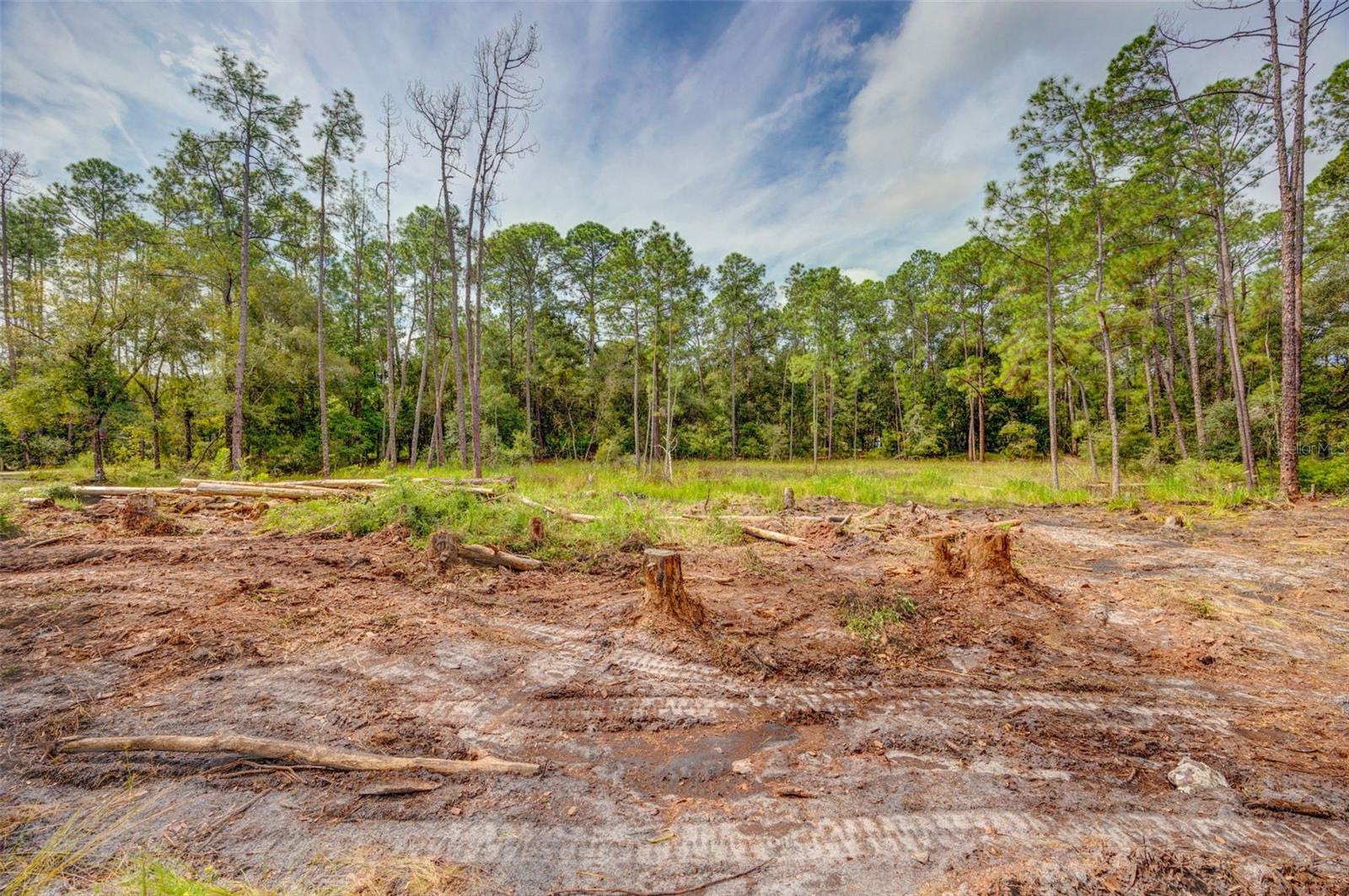 RIDGE MANOR ESTATE - Land