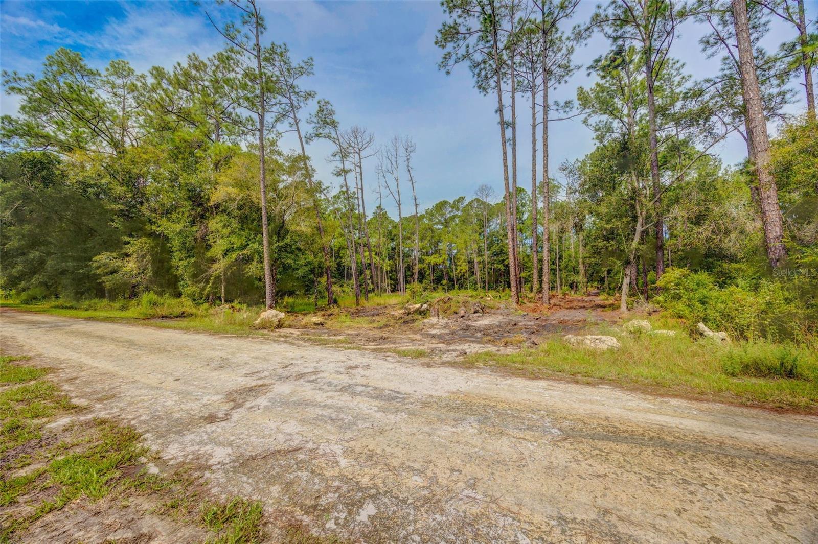 RIDGE MANOR ESTATE - Land