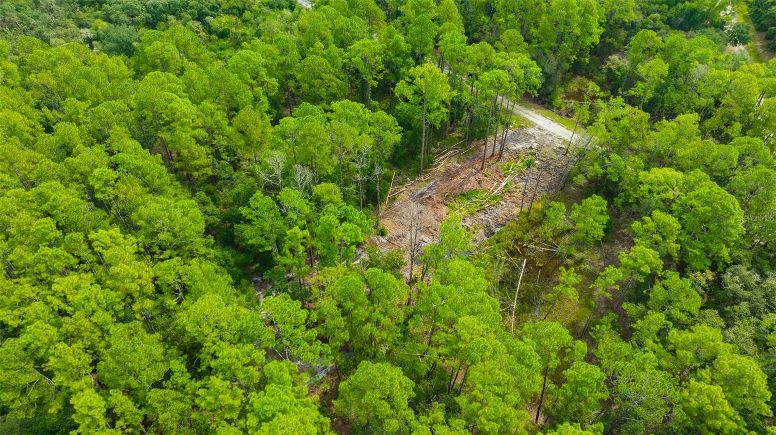 RIDGE MANOR ESTATE - Land