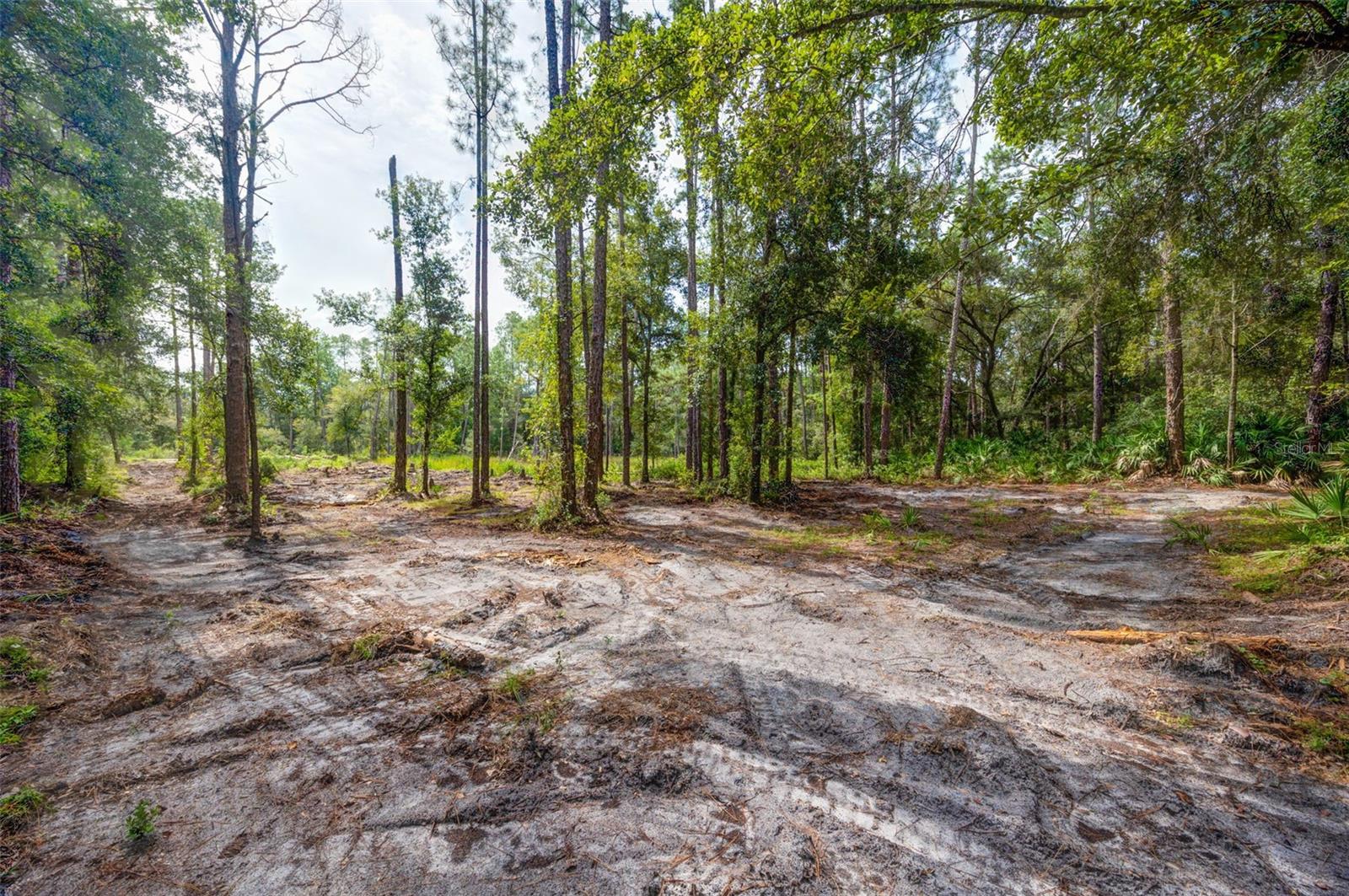 RIDGE MANOR ESTATE - Land