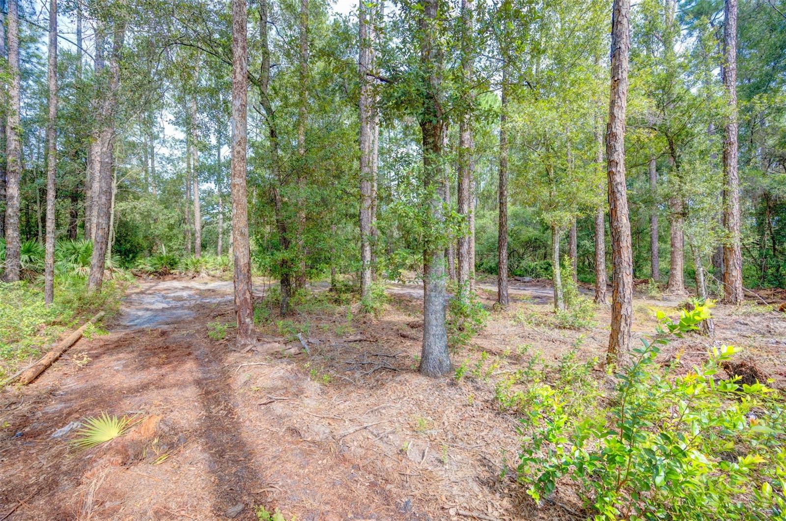 RIDGE MANOR ESTATE - Land