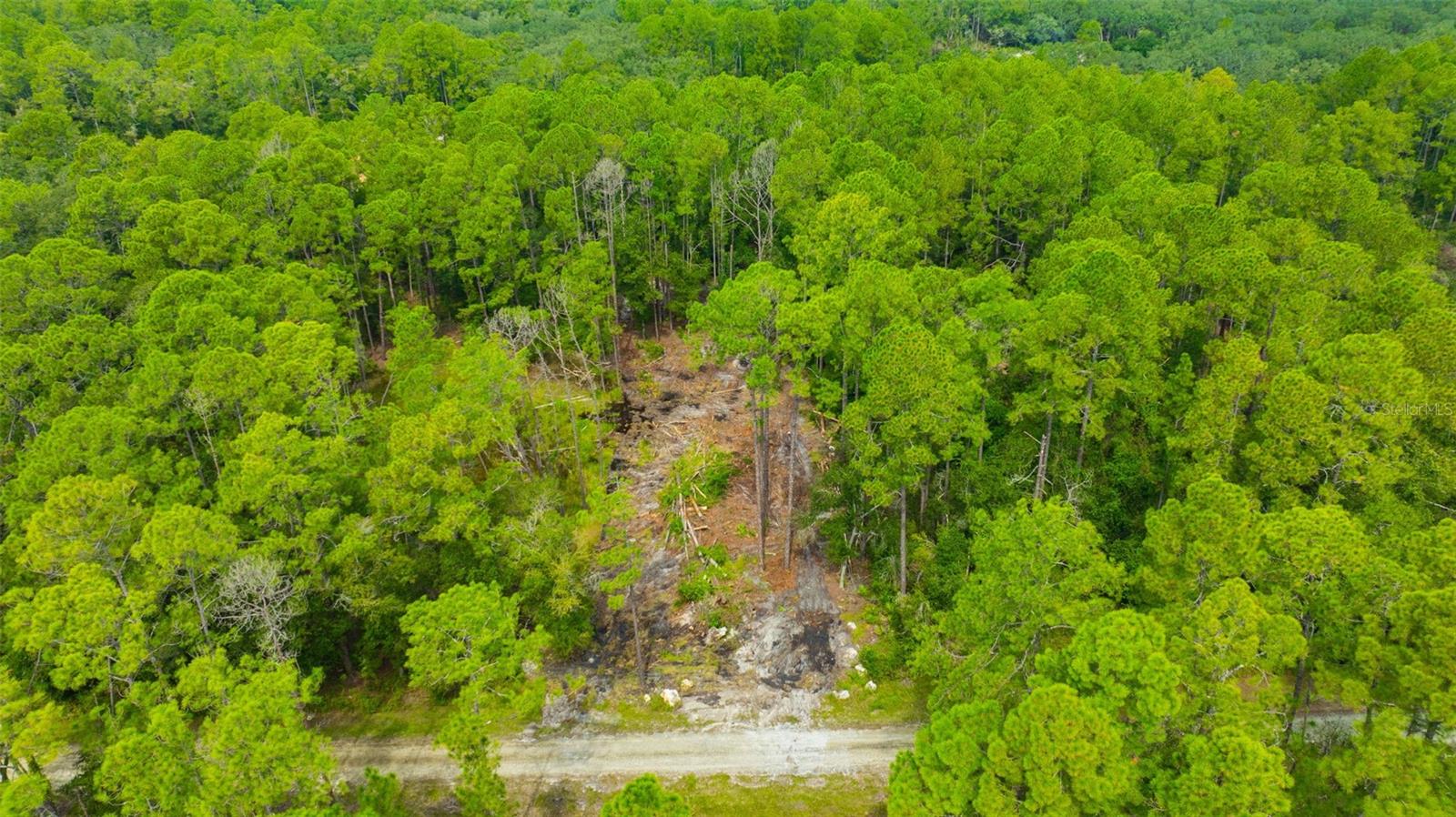 RIDGE MANOR ESTATE - Land