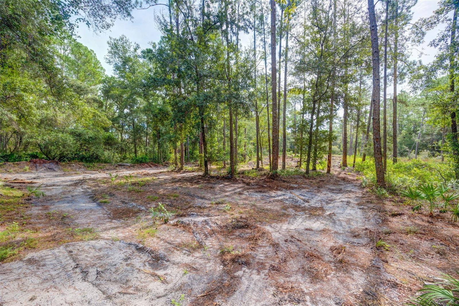 RIDGE MANOR ESTATE - Land