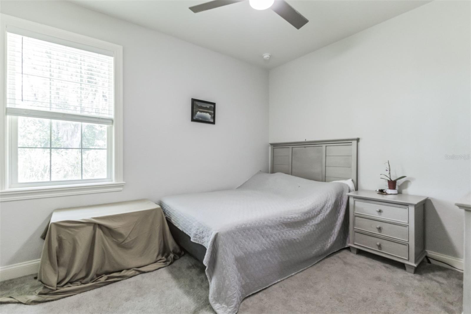 VILLAGE/CANTERWOOD - Residential