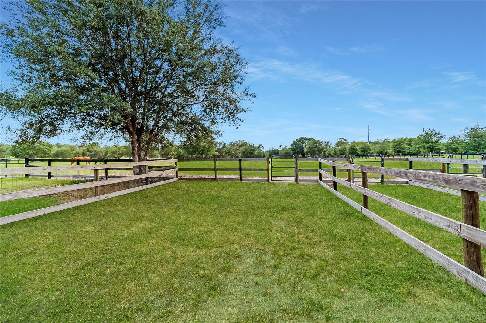 LAKESIDE AT LAKE BRYANT - Farm