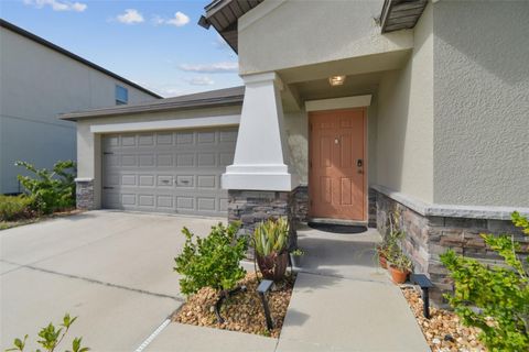 A home in RIVERVIEW