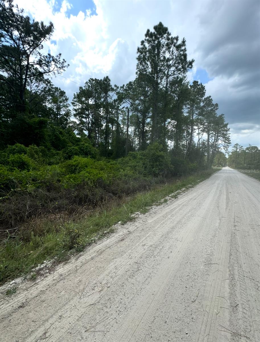 Build your dream home on this .26-acre lot located on 6th Ave in the highly desirable Daytona Park Estates of DeLand. Enjoy a peaceful setting with plenty of space while still being close to shopping, dining, and historic downtown. Bring your own builder and create the home you’ve always imagined!