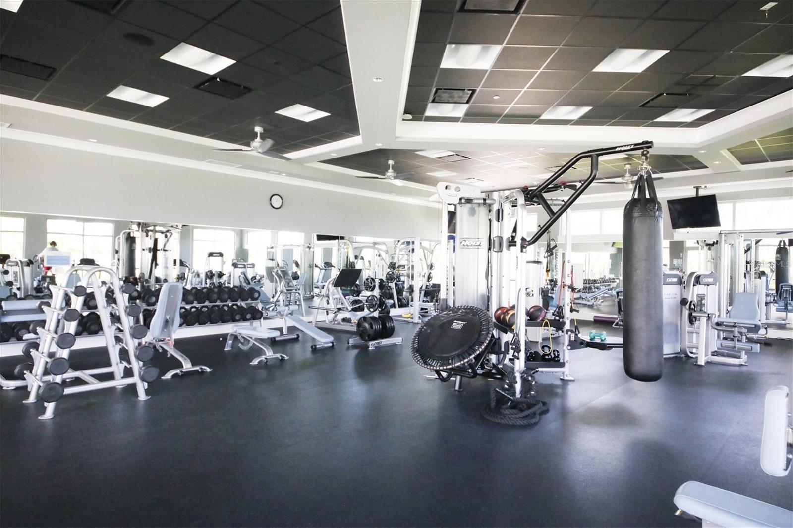 MARINA WALK ON ONE PARTICULAR HARBOUR 2 - Residential