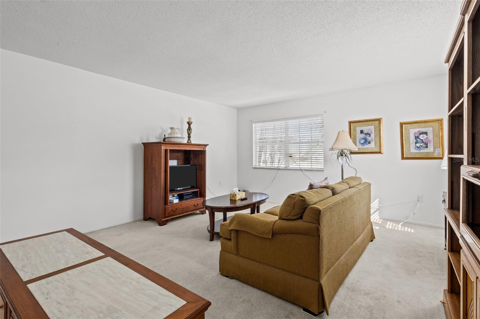 BELLEAIR FOREST - Residential