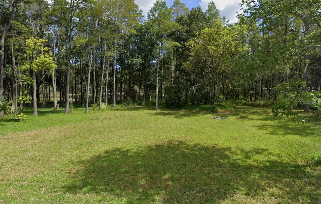 Photo of 19832 Westwood Lane, Land O Lakes, FL 34638 (MLS # O6329356)