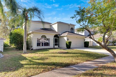 A home in RIVERVIEW