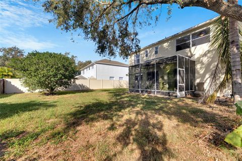 A home in RIVERVIEW