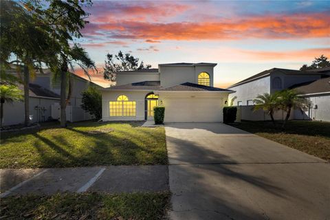 A home in RIVERVIEW