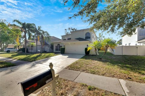 A home in RIVERVIEW