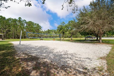 listing image 58