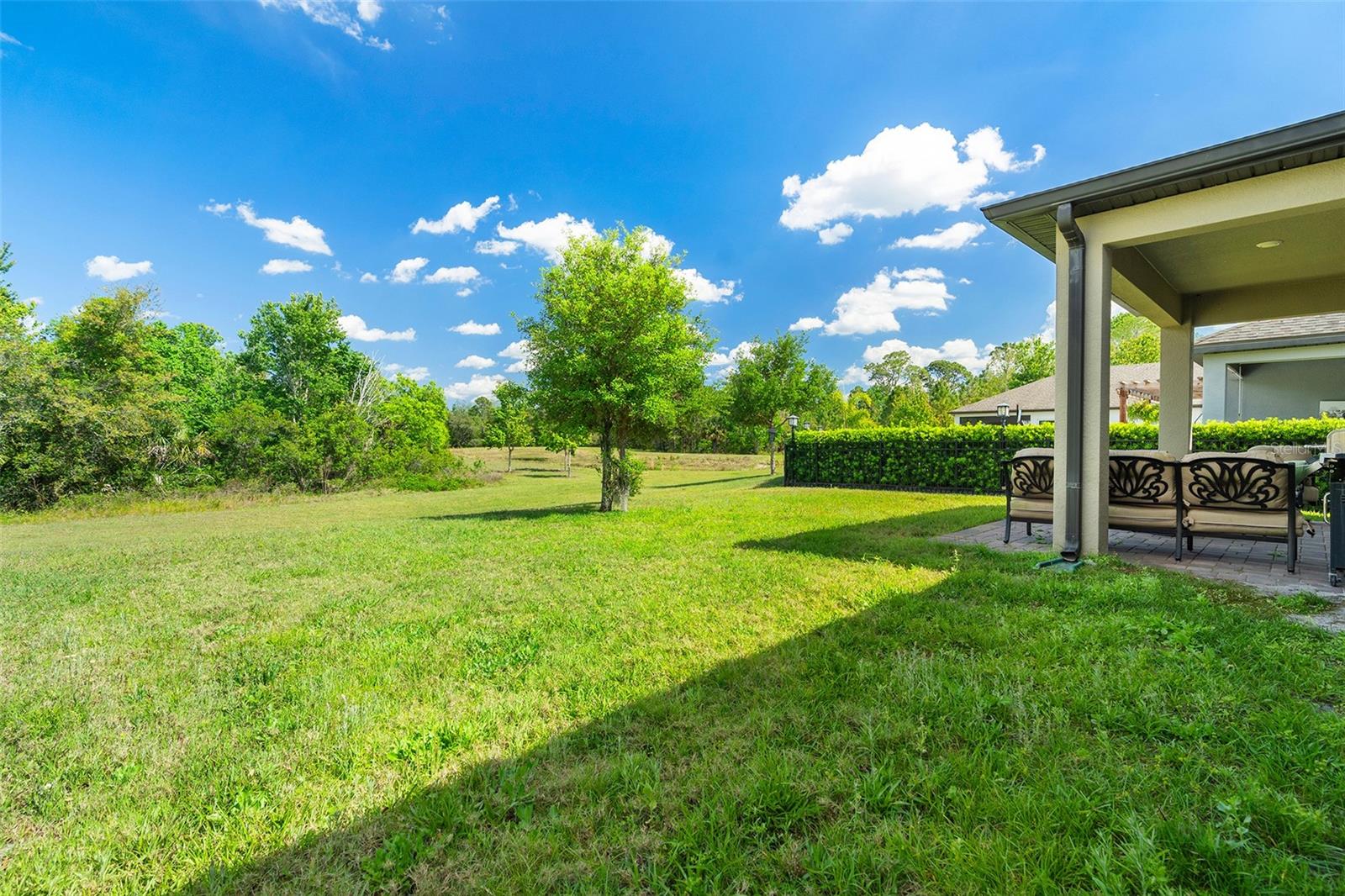 3447 FEATHERGRASS COURT