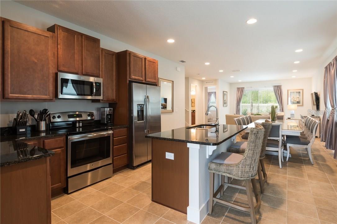 481 LASSO DRIVE
