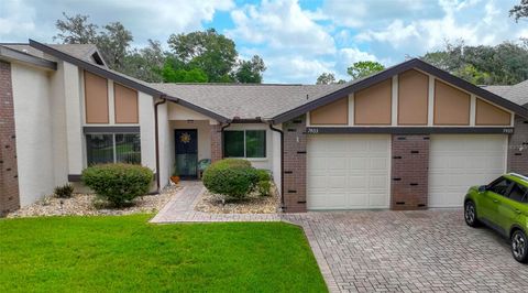Photo of 7403 Heather Walk Drive, Weeki Wachee, FL 34613 (MLS # W7885180)