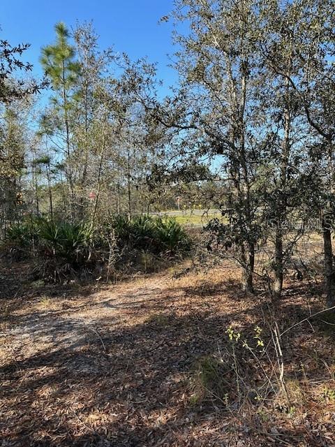 OAKDALE ESTATES SEC 01 - Land
