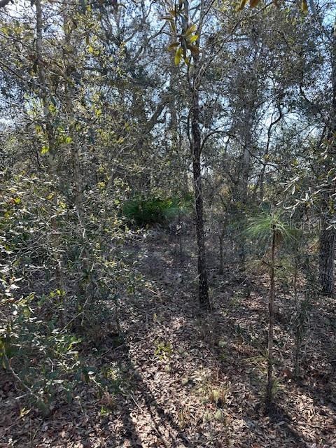 OAKDALE ESTATES SEC 01 - Land