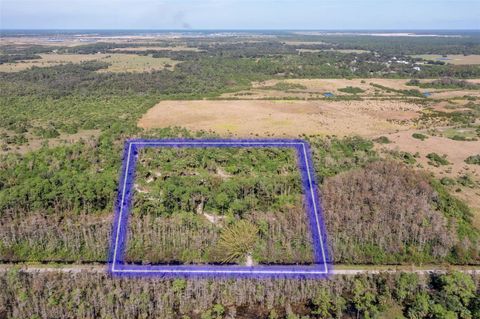 13591 DUKE HIGHWAY ALVA FL 33920