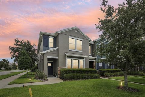 A home in APOLLO BEACH