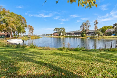 13741 Juniper Blossom Drive, Tampa, FL 33618