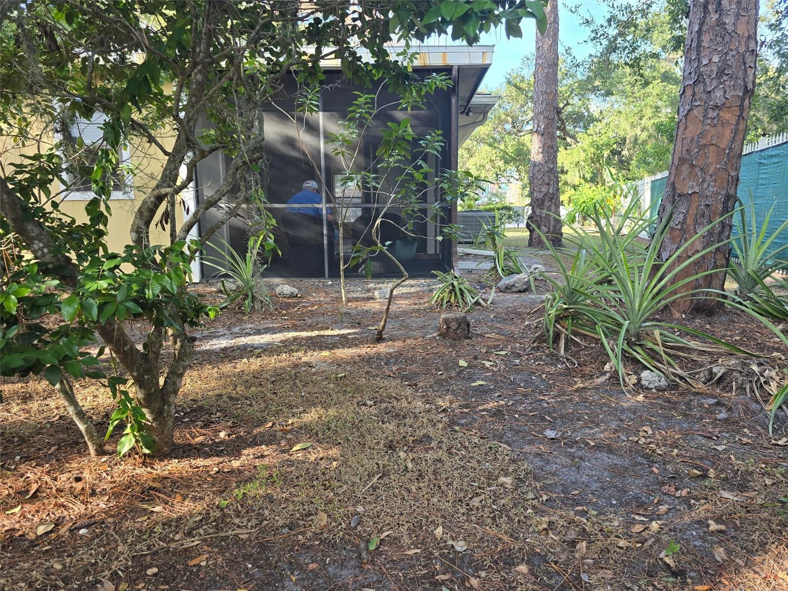 SUMMER WIND - Residential