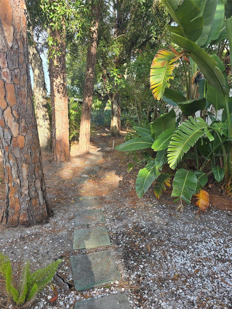 SUMMER WIND - Residential