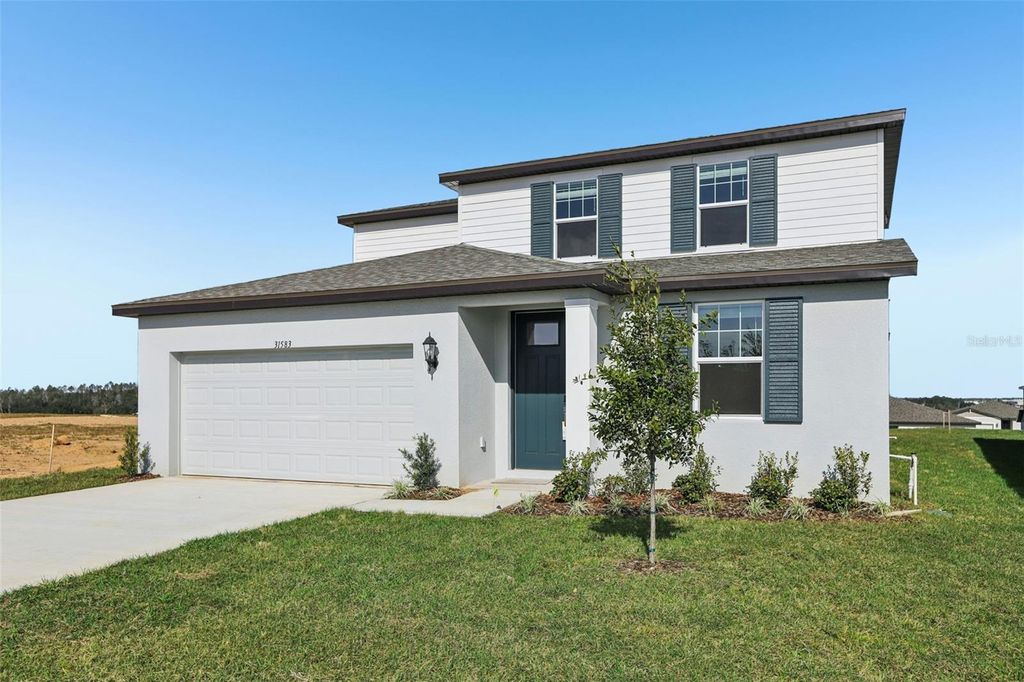 Photo of 31583 Wild Grape Lane, Brooksville, FL 34602 (MLS # O6372024)