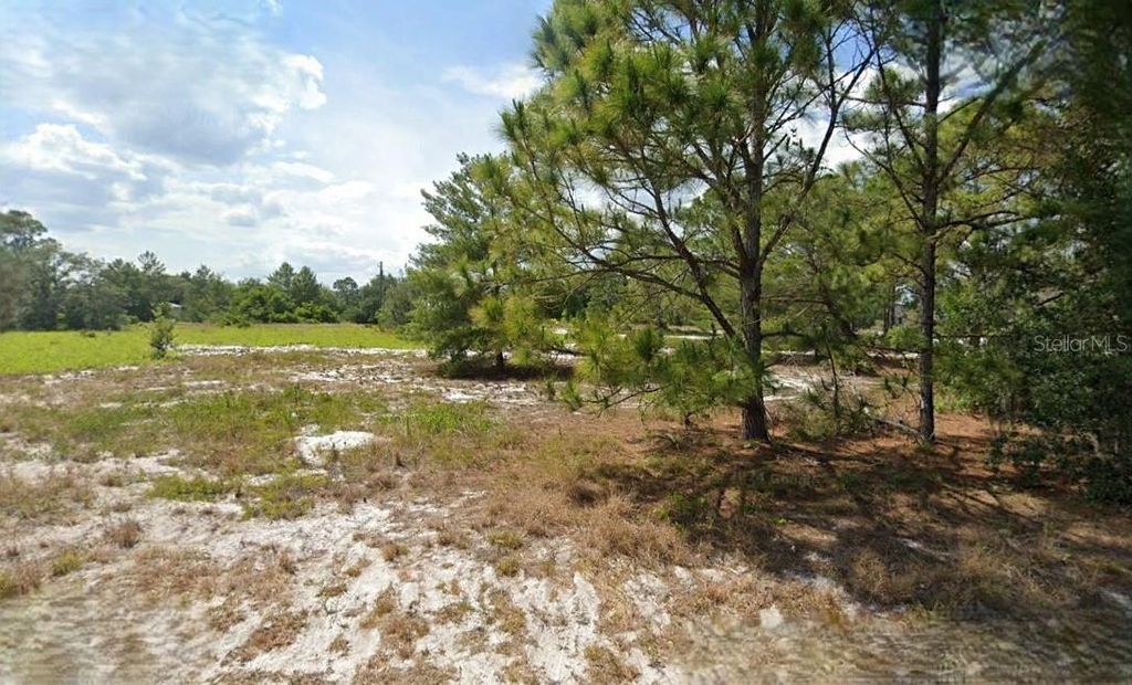 Photo of 1020 Mimosa Street, Lake Placid, FL 33852 (MLS # O6290184)