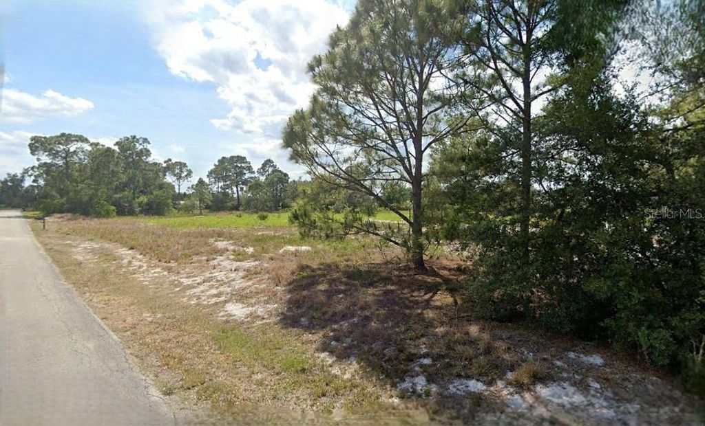 Photo of 1020 Mimosa Street, Lake Placid, FL 33852 (MLS # O6290184)
