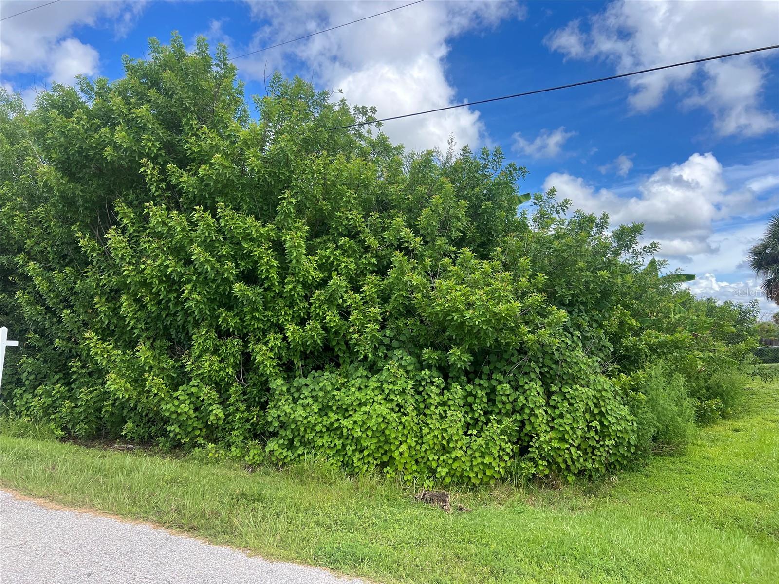 Looking for that perfect piece of land to build your slice of paradise on? Here's a fabulous buildable LOT in highly desirable, beach community of ENGLEWOOD. No flood insurance required!!! PUBLIC WATER available, Electrical pole on corner of property, saving you money by not having to bring poles to site! NOT IN A SCRUB JAY ZONE, so no costly mitigation!!! Greenbelt running along back of property giving additional privacy space. Bring all your toys...store your RV, boat, kayaks, put up a detached garage, shed for an art studio, trampoline, or treehouse, doesn't matter as this is a non-deed restricted area of Charlotte County! And of course, what could be more Florida than having your own pool which this 10,000 square foot property has plenty of room for! Close to BEACHES and GOLFING and BOATING!!! Great builders in the area, pricing starting at $320,000 on your lot for gorgeous block home with tile, granite/quartz throughout, plus impact windows. Call today for more information!