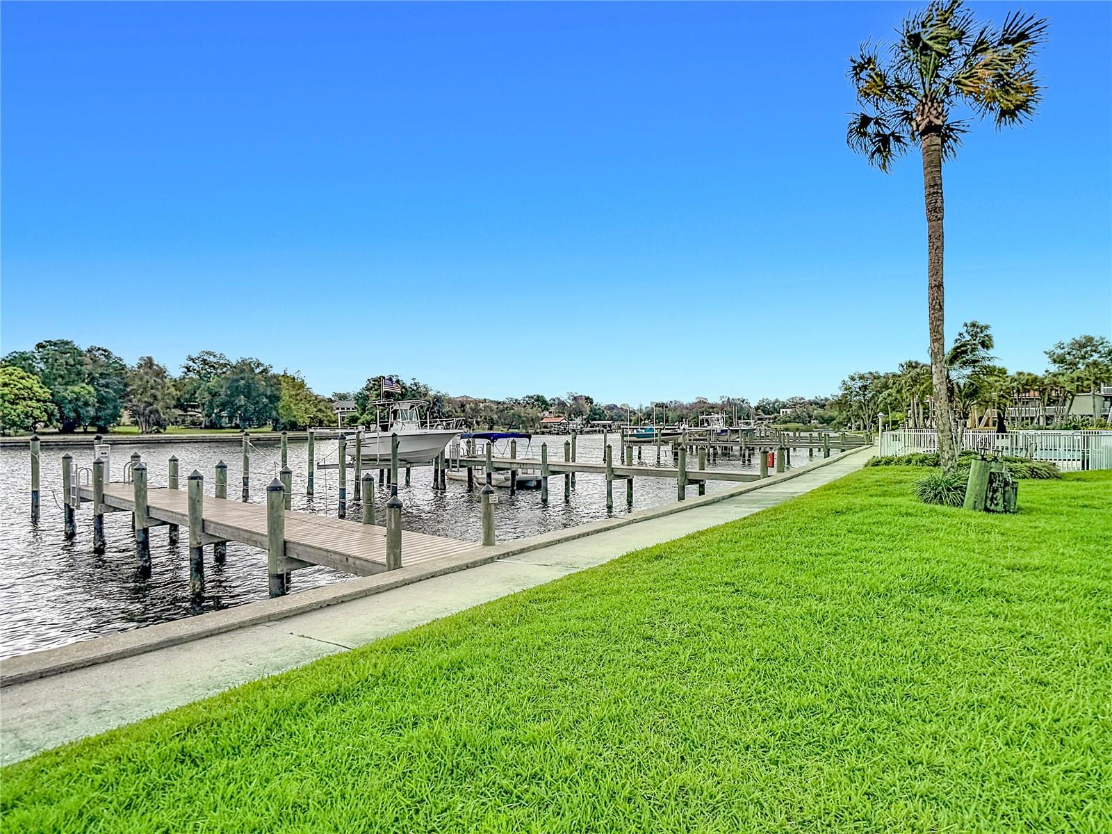 THE MARINA CLUB OF TAMPA A CON - Residential