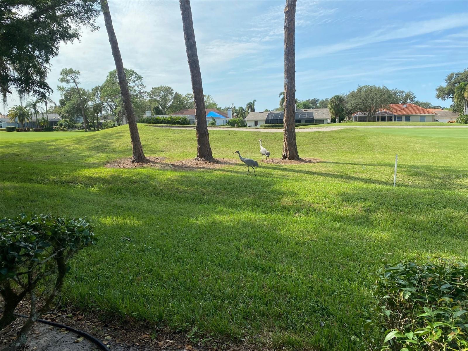 WOODLAND GREEN A CONDO OR1292/637 - Residential Lease
