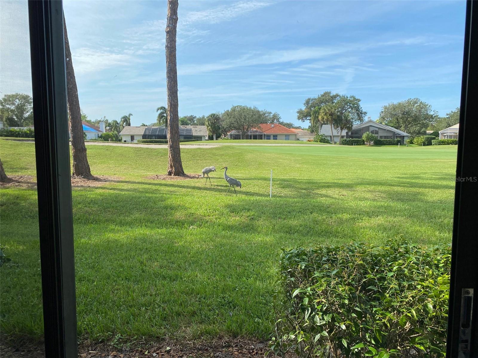 WOODLAND GREEN A CONDO OR1292/637 - Residential Lease