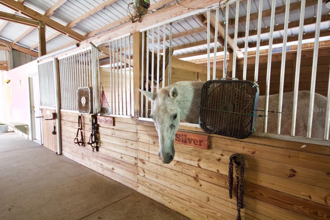 CROWN OAKS 1ST ADD - Residential