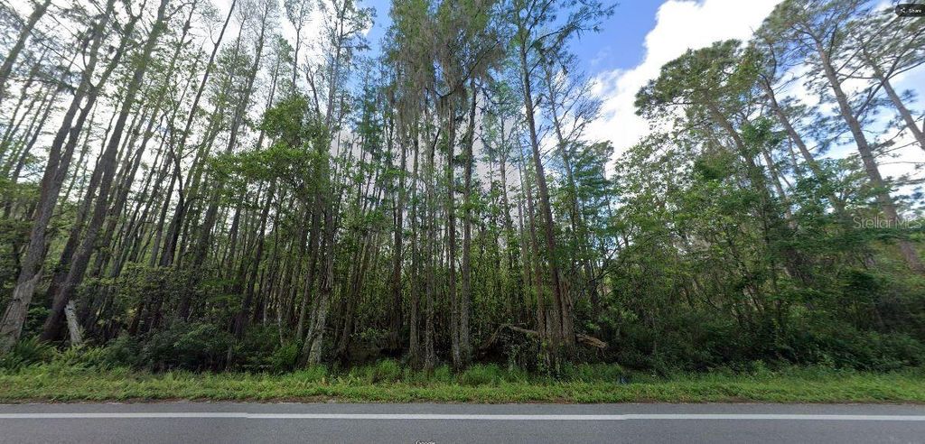 Photo of Deen Still Road, Polk City, FL 33868 (MLS # O6269848)
