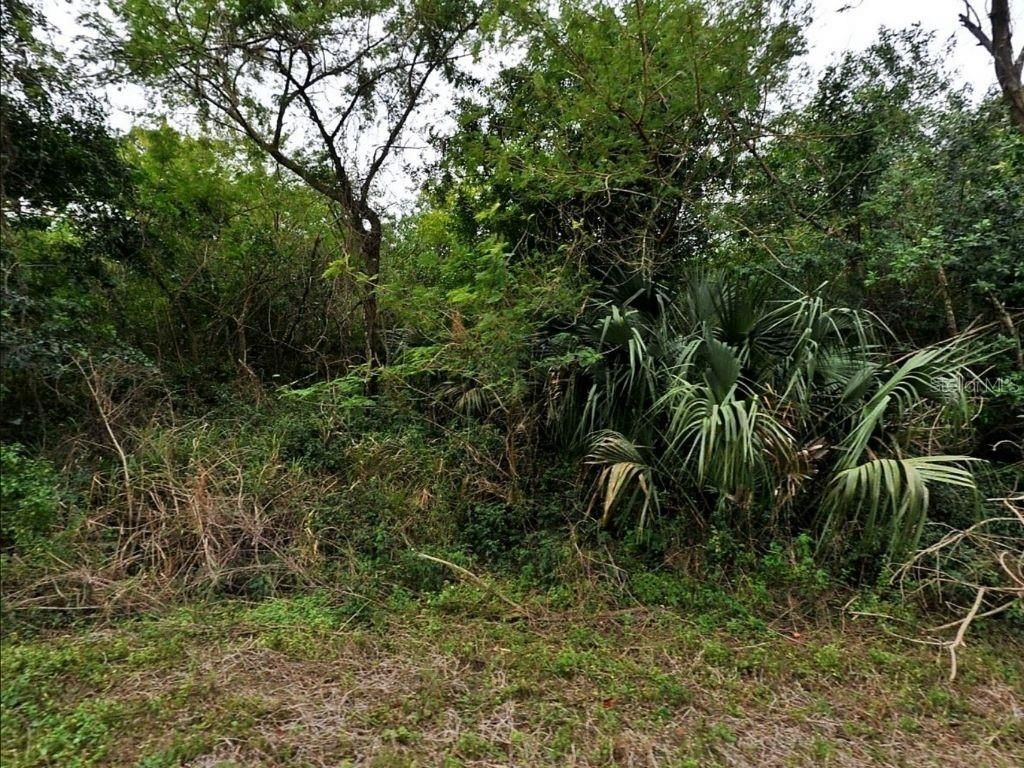 Photo of 12 Caesar, North Port, FL 34288 (MLS # S5140027)