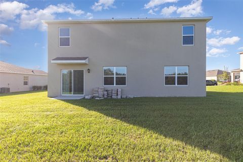 A home in MOUNT DORA