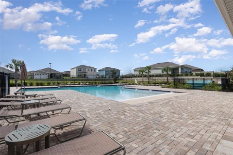 A home in MOUNT DORA