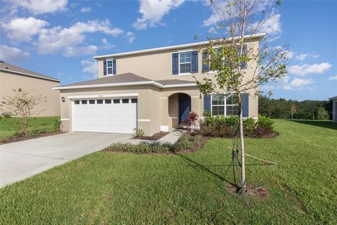 A home in MOUNT DORA