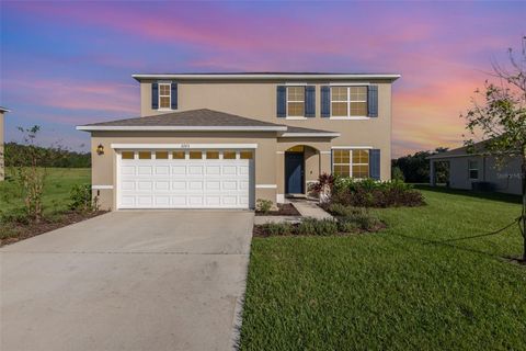 A home in MOUNT DORA