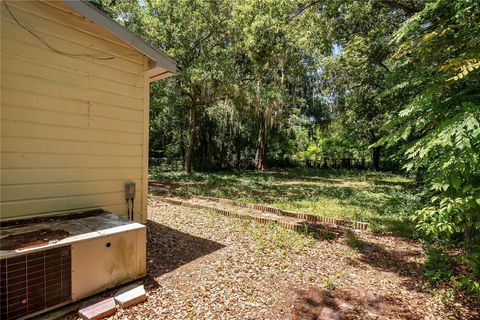 A home in MOUNT DORA